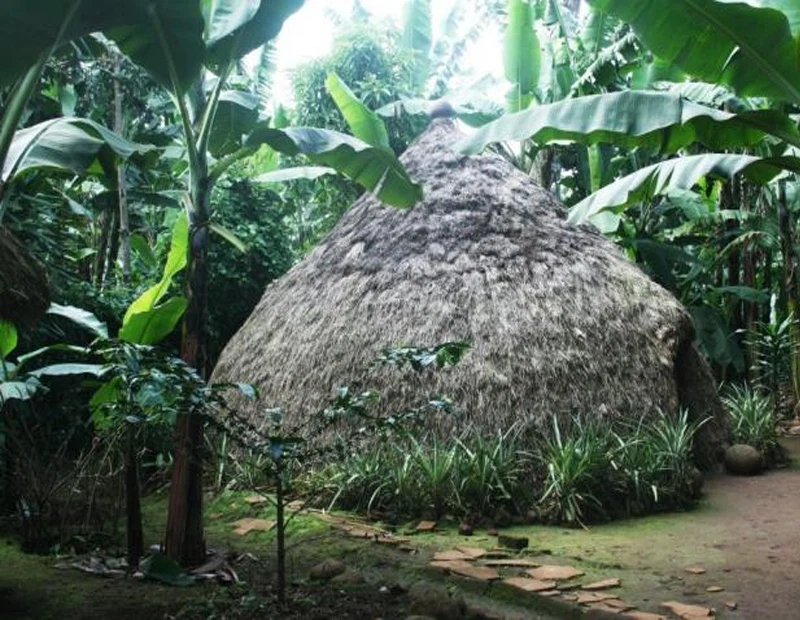Kilimanjaro for couples travel guide by Everyday Safaris in Tanzania