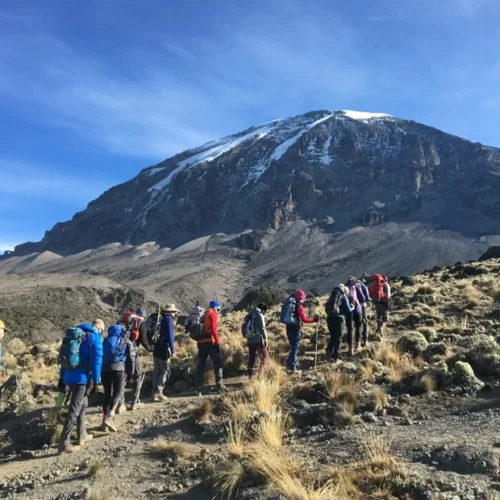 Mount kilimanjaro marangu route scenic high altitude climbing and trekking adventure tanzania alternate view 05