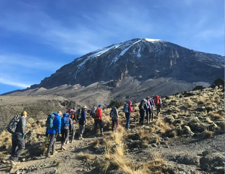 Kilimanjaro glaciers crater rim mountain climbing guide in Tanzania