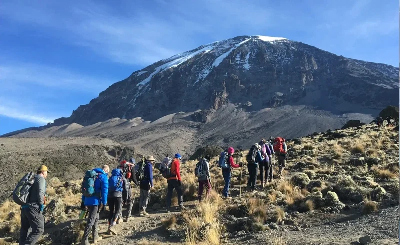 Mount kilimanjaro marangu route scenic high altitude climbing and trekking adventure tanzania alternate view 05