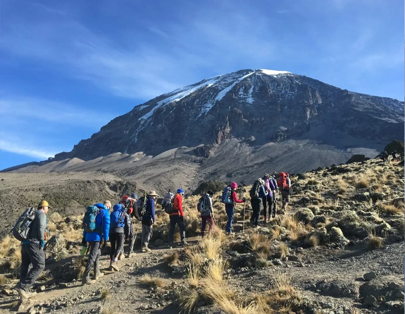 Mount kilimanjaro marangu route scenic high altitude climbing and trekking adventure tanzania alternate view 05