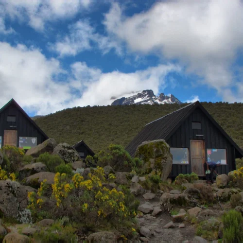 Mount kilimanjaro marangu route scenic high altitude climbing and trekking adventure tanzania alternate view 07