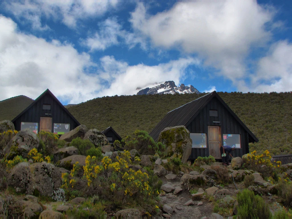 Mount kilimanjaro marangu route scenic high altitude climbing and trekking adventure tanzania alternate view 07