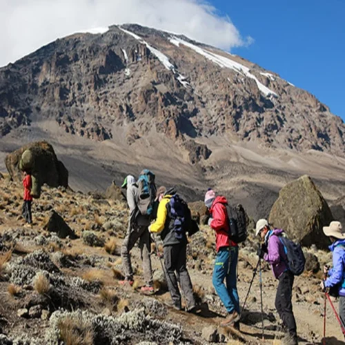 Mount Kilimanjaro Marangu Route Scenic High Altitude Climbing And Trekking Adventure Tanzania Alternate View 18