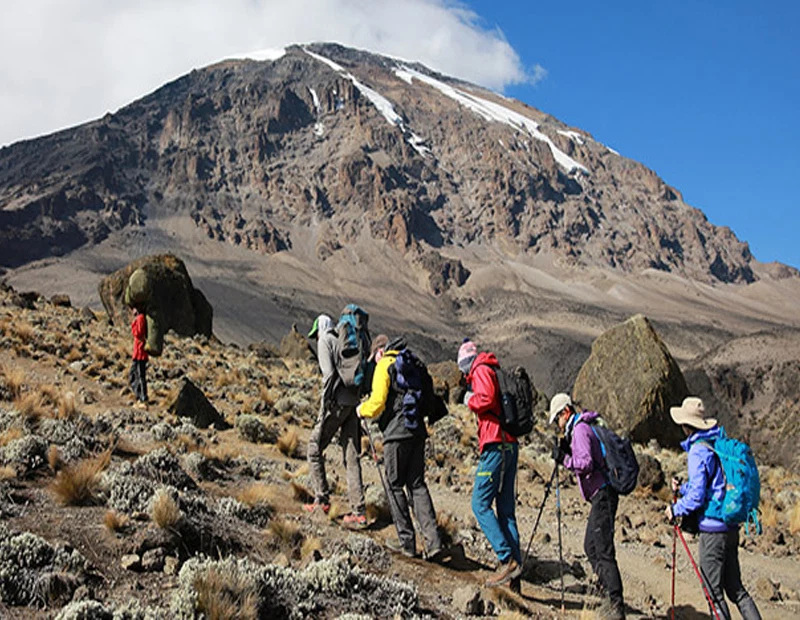 Mount Kilimanjaro Marangu Route Scenic High Altitude Climbing And Trekking Adventure Tanzania Alternate View 18