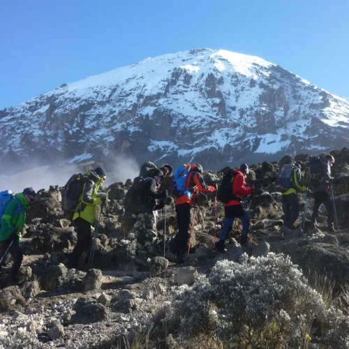Mount kilimanjaro northern circuit route scenic high altitude climbing and trekking adventure tanzania alternate view 02
