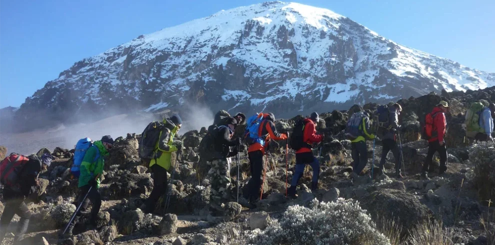 sick on Kilimanjaro travel guide by Everyday Safaris in Tanzania
