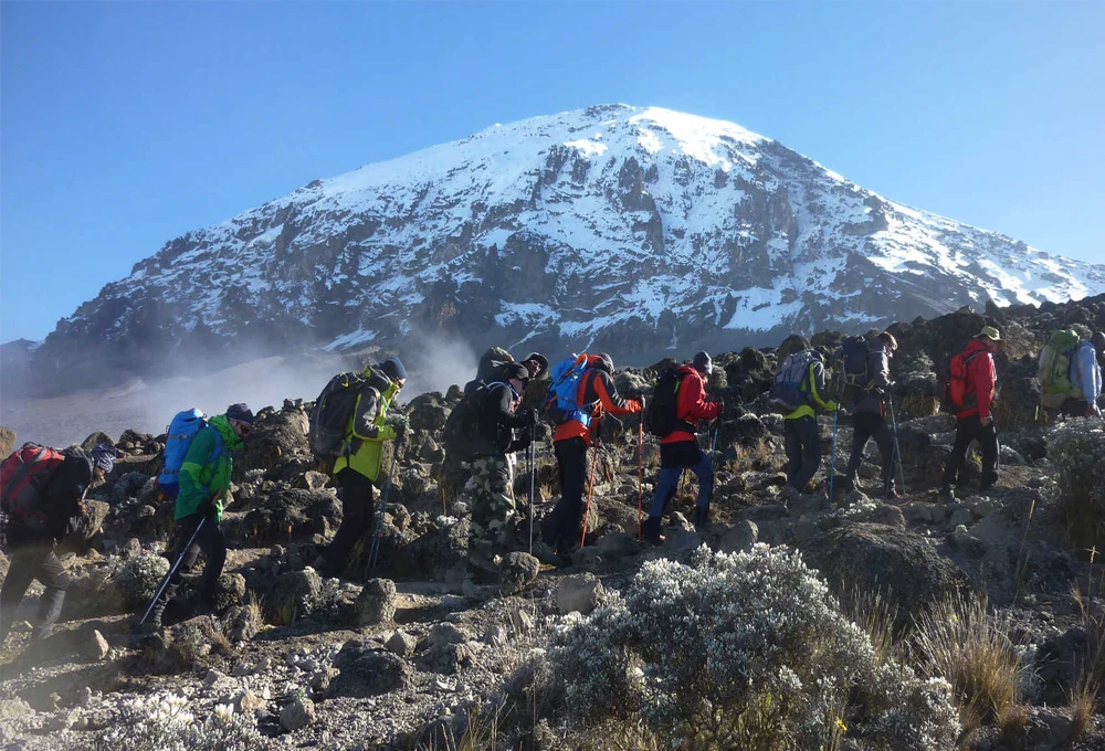 Mount kilimanjaro northern circuit route scenic high altitude climbing and trekking adventure tanzania alternate view 02