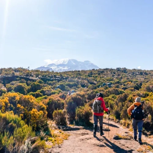 Mount kilimanjaro northern circuit route scenic high altitude climbing and trekking adventure tanzania alternate view 03