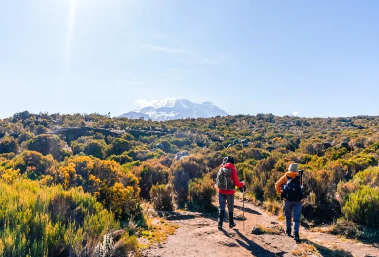 Lemosho vs Machame travel guide by Everyday Safaris in Tanzania