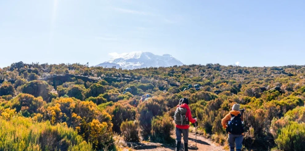 Mount kilimanjaro northern circuit route scenic high altitude climbing and trekking adventure tanzania alternate view 03