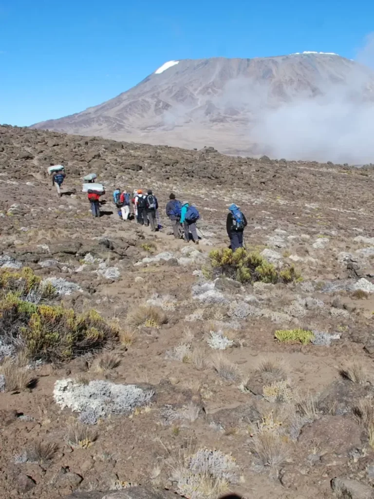 Mount Kilimanjaro Porters Supporting Climbers On High Altitude Trek Tanzania 1