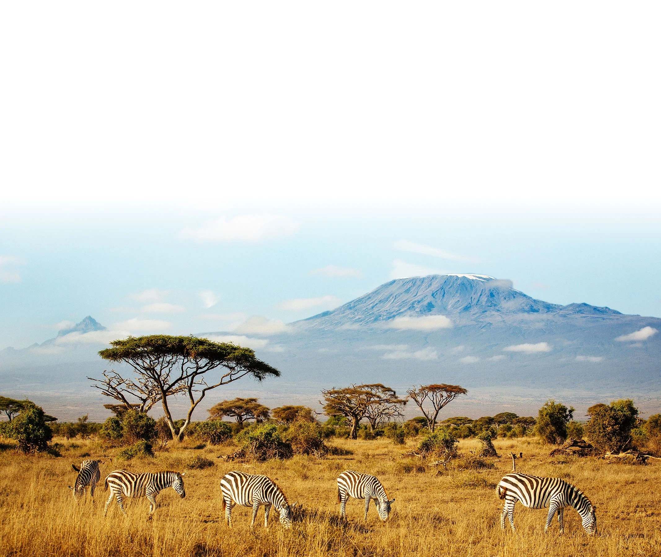 Mount Kilimanjaro