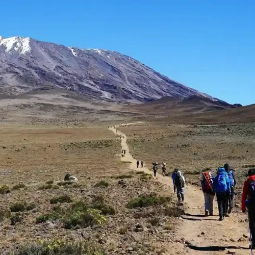 Mount kilimanjaro rongai route scenic high altitude climbing and trekking adventure tanzania alternate view 02