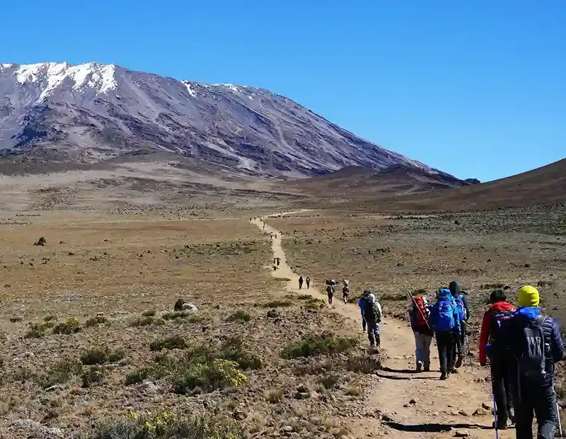 Mount kilimanjaro rongai route scenic high altitude climbing and trekking adventure tanzania alternate view 02