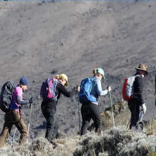 Mount kilimanjaro rongai route scenic high altitude climbing and trekking adventure tanzania alternate view 03