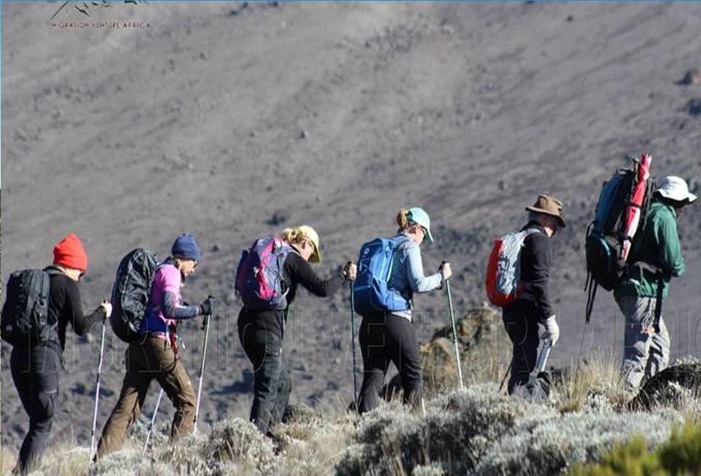 Mount kilimanjaro rongai route scenic high altitude climbing and trekking adventure tanzania alternate view 03