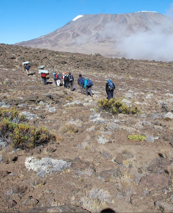 Mount Kilimanjaro Rongai Route Scenic High Altitude Climbing And Trekking Adventure Tanzania Alternate View 07 1