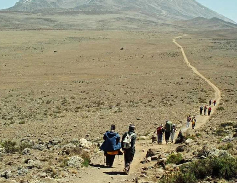 Mount Kilimanjaro Rongai Route Scenic High Altitude Climbing And Trekking Adventure Tanzania Alternate View 09 1