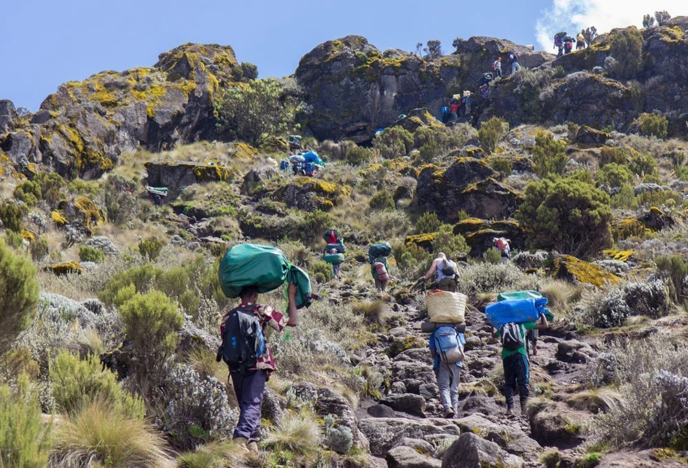Mount Kilimanjaro Rongai Route Scenic High Altitude Climbing And Trekking Adventure Tanzania Alternate View 10 1