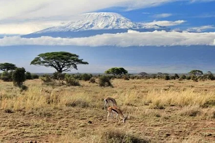 Mount Kilimanjaro Scenic Climbing Trekking And Summit Adventure In Tanzania Alternate View 09 1