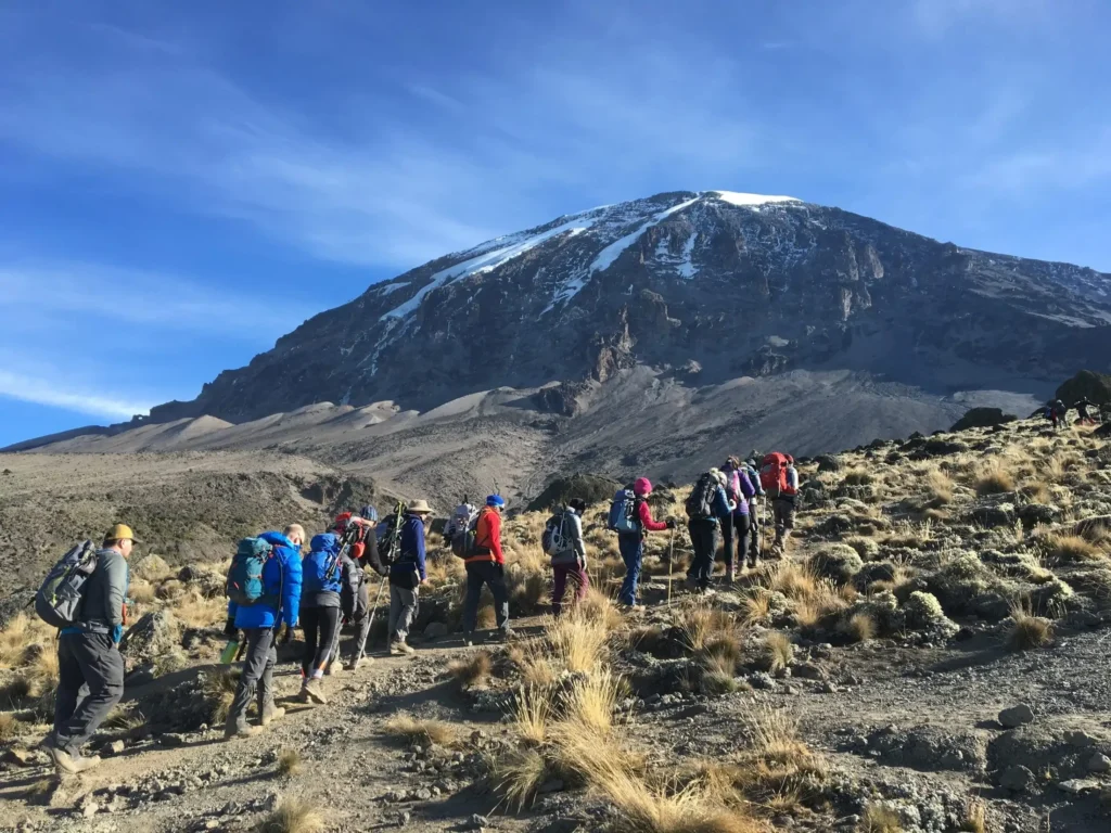Mount Kilimanjaro Scenic Climbing Trekking And Summit Adventure In Tanzania Alternate View 10 1