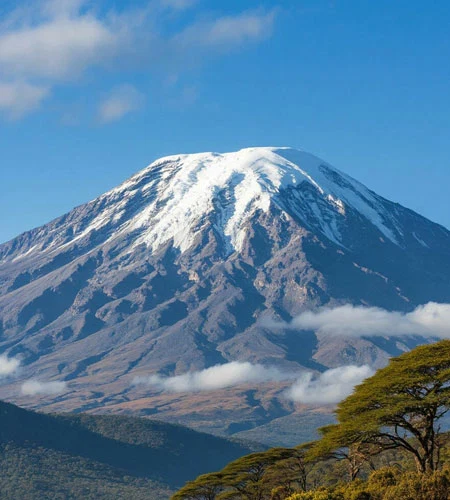Mount Kilimanjaro Scenic Climbing Trekking And Summit Adventure In Tanzania Alternate View 17 1