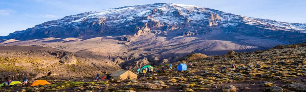 Mount Kilimanjaro Scenic Climbing Trekking And Summit Adventure In Tanzania Alternate View 26 1