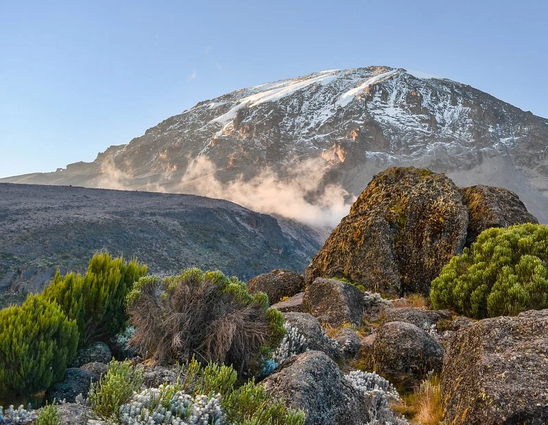 Mount Kilimanjaro Scenic Climbing Trekking And Summit Adventure In Tanzania Alternate View 32 1