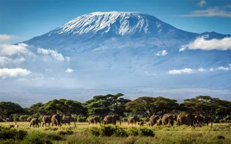 Mount Kilimanjaro Scenic Climbing Trekking And Summit Adventure In Tanzania Alternate View 33 1