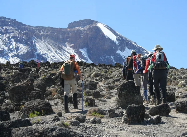 Mount Kilimanjaro Scenic Climbing Trekking And Summit Adventure In Tanzania Alternate View 36 1