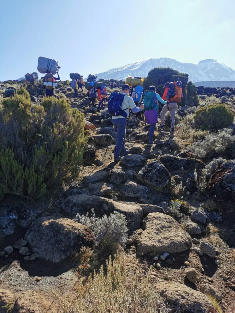 Mount Kilimanjaro Scenic Climbing Trekking And Summit Adventure In Tanzania Alternate View 40 1