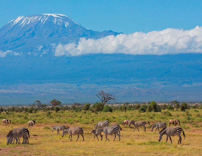 Mount Kilimanjaro Scenic Climbing Trekking And Summit Adventure In Tanzania Alternate View 42 1