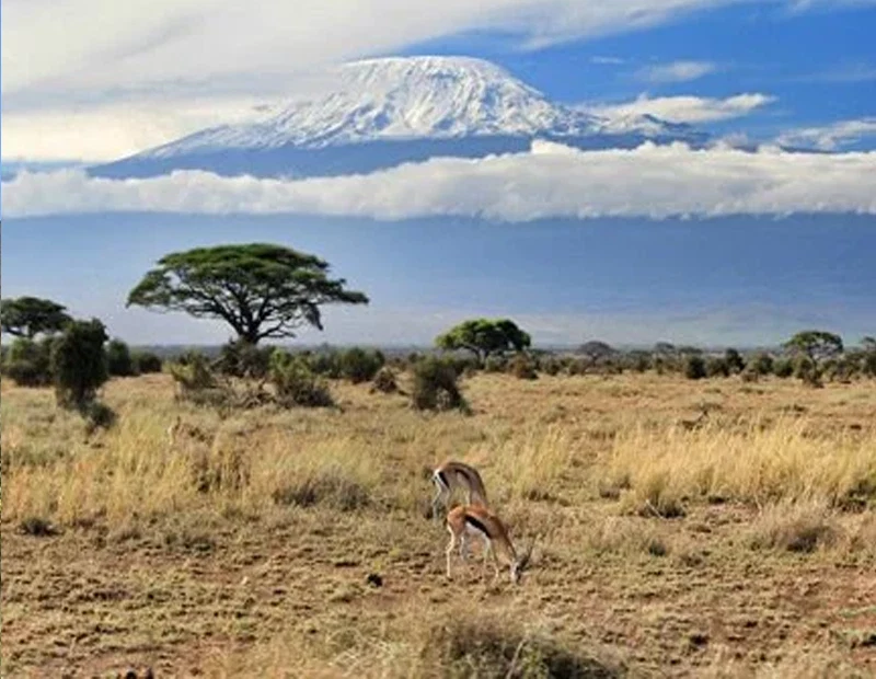 Mount Kilimanjaro Scenic Climbing Trekking And Summit Adventure In Tanzania Alternate View 48 1