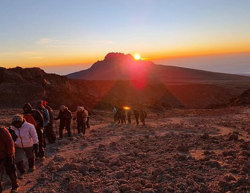 Mount Kilimanjaro Scenic Climbing Trekking And Summit Adventure In Tanzania Alternate View 50 1