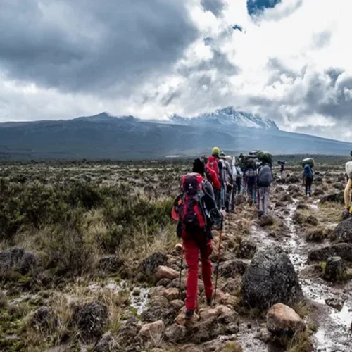 Mount kilimanjaro shira route scenic high altitude climbing and trekking adventure tanzania