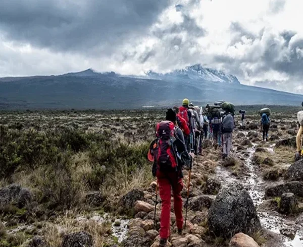 Mount kilimanjaro shira route scenic high altitude climbing and trekking adventure tanzania