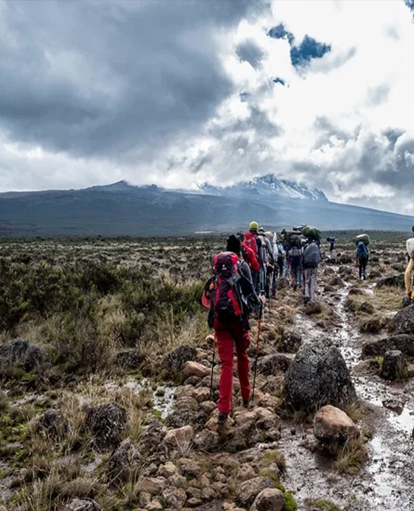 Mount kilimanjaro shira route scenic high altitude climbing and trekking adventure tanzania
