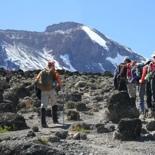 Mount kilimanjaro shira route scenic high altitude climbing and trekking adventure tanzania alternate view 02
