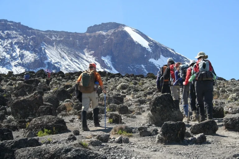 Shira Plateau Kilimanjaro mountain climbing guide in Tanzania