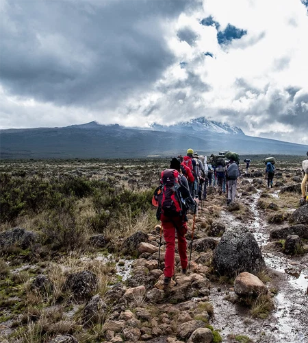 Mount kilimanjaro shira route scenic high altitude climbing and trekking adventure tanzania alternate view 03