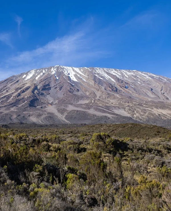 Mount Kilimanjaro Snow Capped Summit Above Tanzania Moorland 1