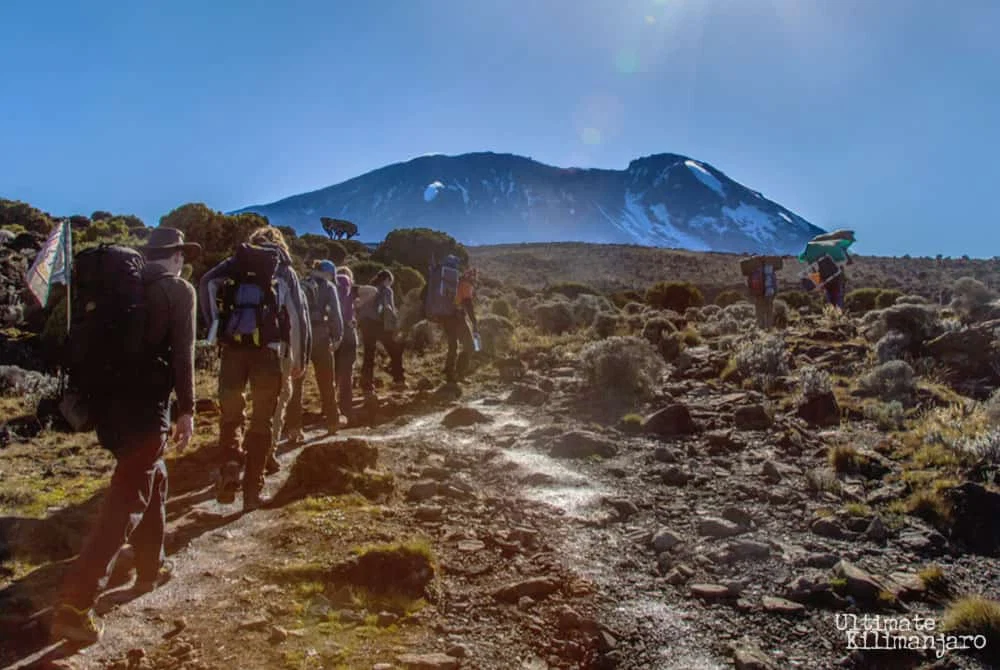 Mount Kilimanjaro Umbwe Route Scenic High Altitude Climbing And Trekking Adventure Tanzania 1
