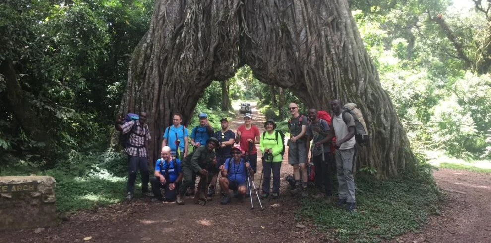 Mount Meru Climbers Under Giant Forest Tree On Four Day Momella Route Trek 1