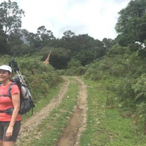 Mount meru hiker walking forest track on lower momella route tanzania