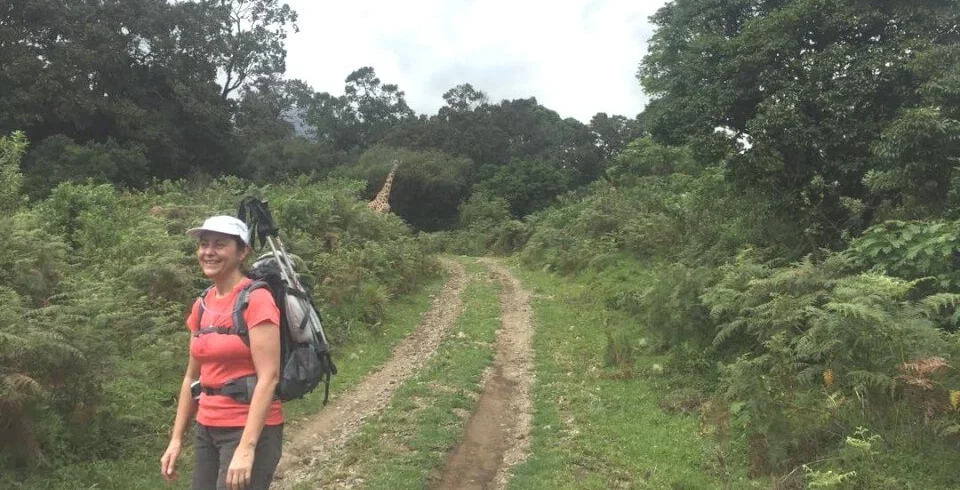 Mount meru hiker walking forest track on lower momella route tanzania