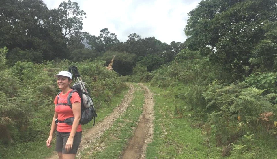 Mount meru hiker walking forest track on lower momella route tanzania