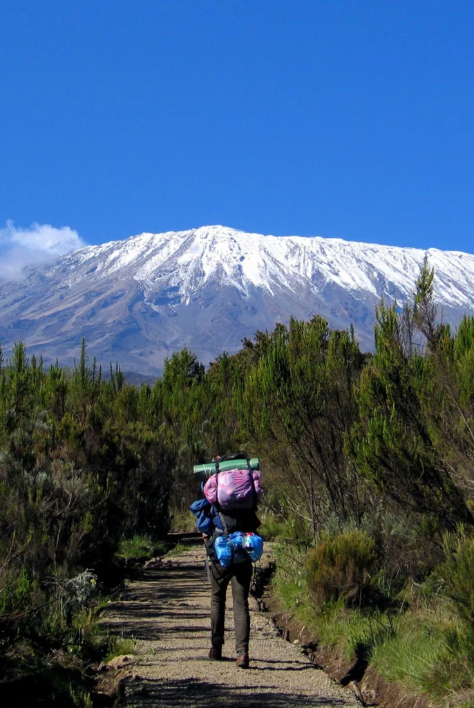 Mount Meru Trekker With Snow Capped Kilimanjaro View In Distance Tanzania 1