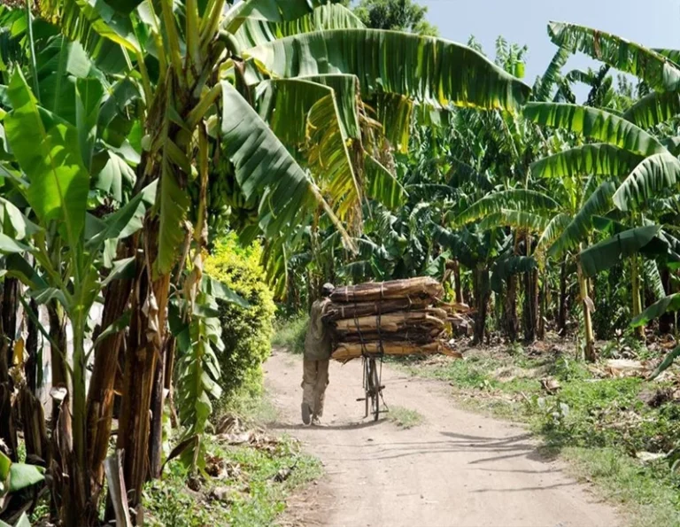northern Tanzania safari driving times travel guide by Everyday Safaris in Tanzania