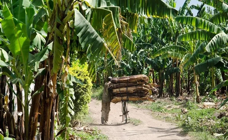 northern Tanzania safari driving times travel guide by Everyday Safaris in Tanzania